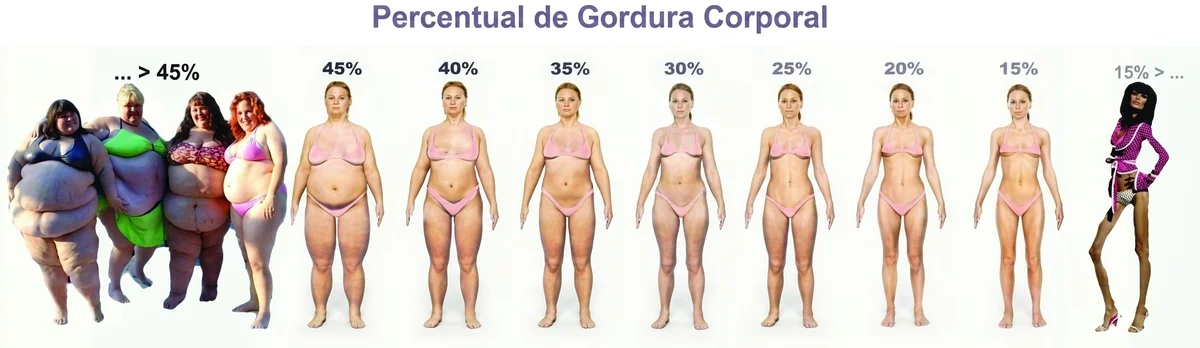 Gordura Localizada